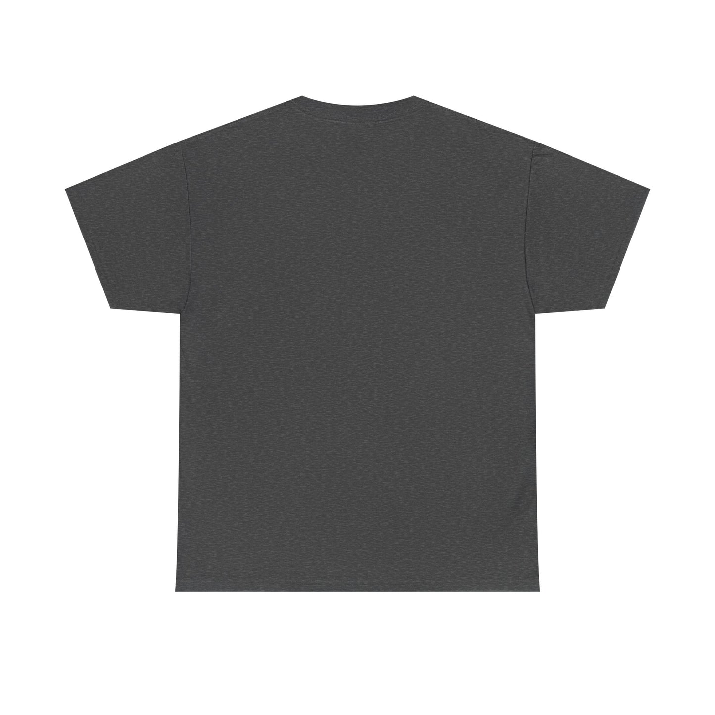 APilotsHome - The Best Journey Takes You Home I Available in Multiple Colors & Sizes I Unisex Pilot Tee